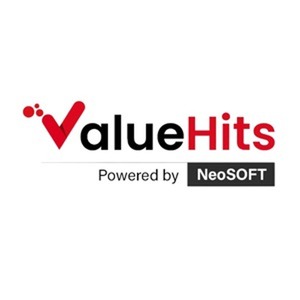 ValueHits - Digital Marketing Agency in India